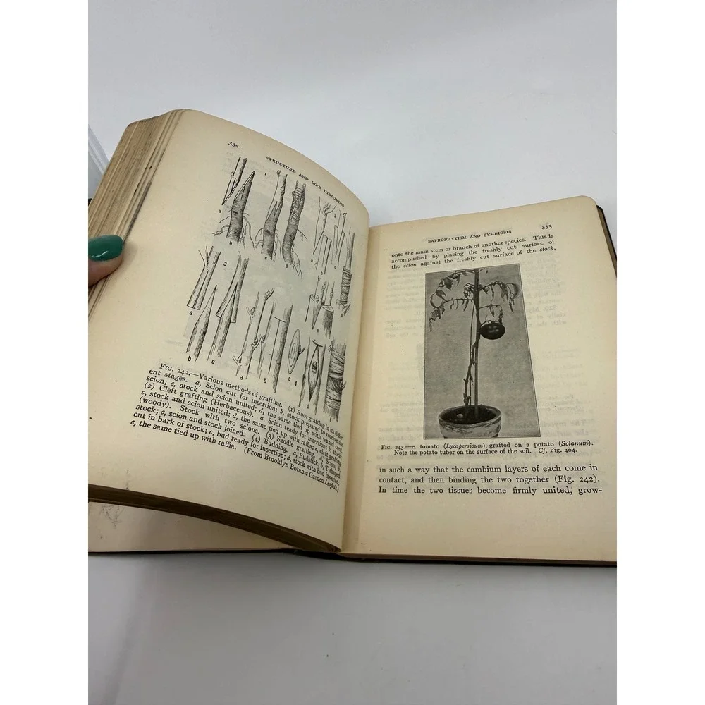 Fundamentals of Botany C Stuart Gager Antique Science Textbook 1917